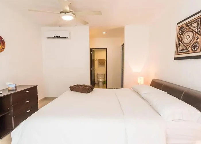Tranquil Pool Walk To 5th Ave And Apartment Playa del Carmen